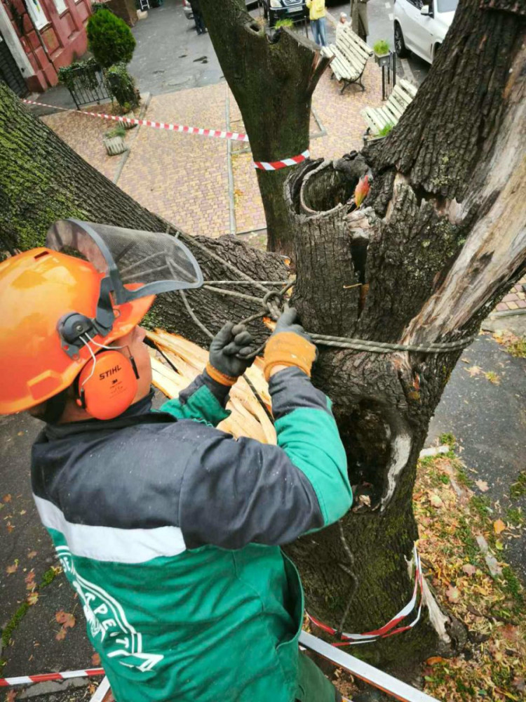 7090 image for slide