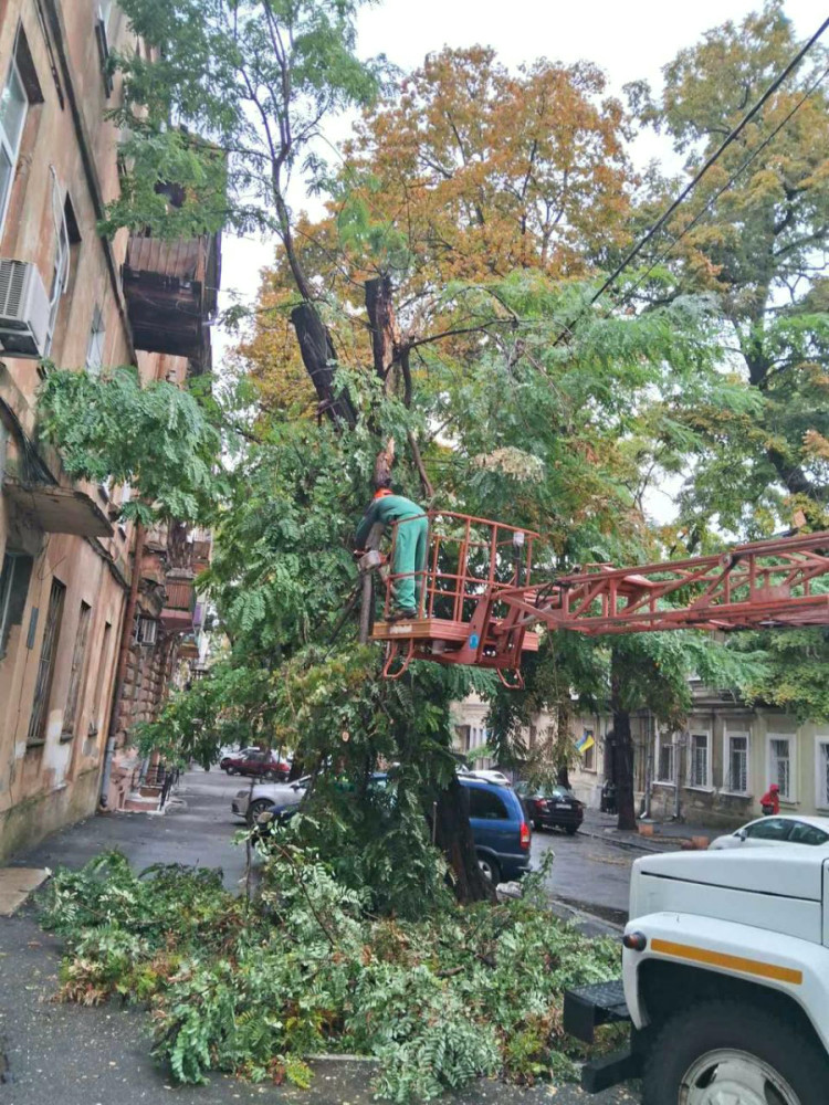 7091 image for slide