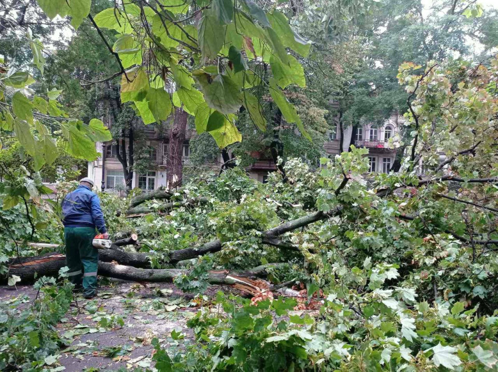 7092 image for slide