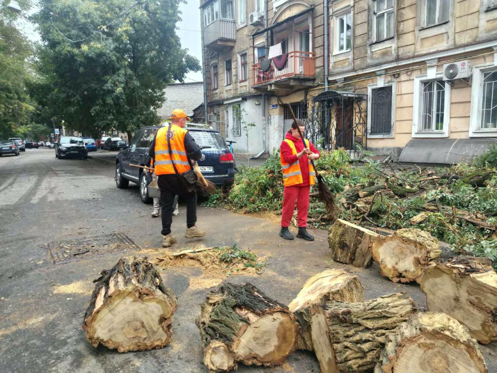 7094 image for slide