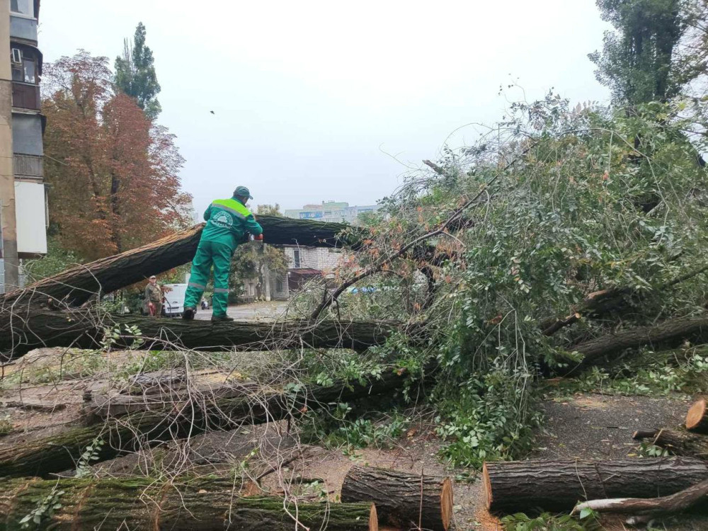 7095 image for slide