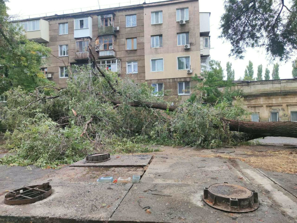 7096 image for slide