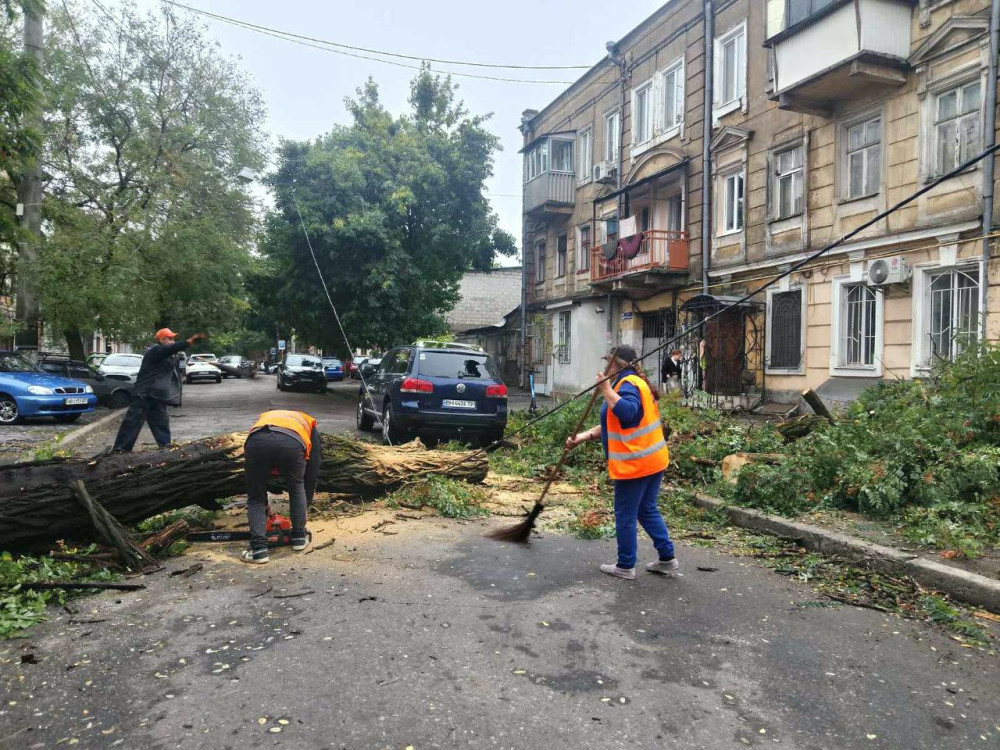 7097 image for slide