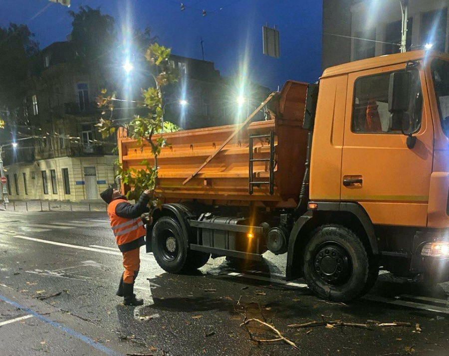 7098 image for slide