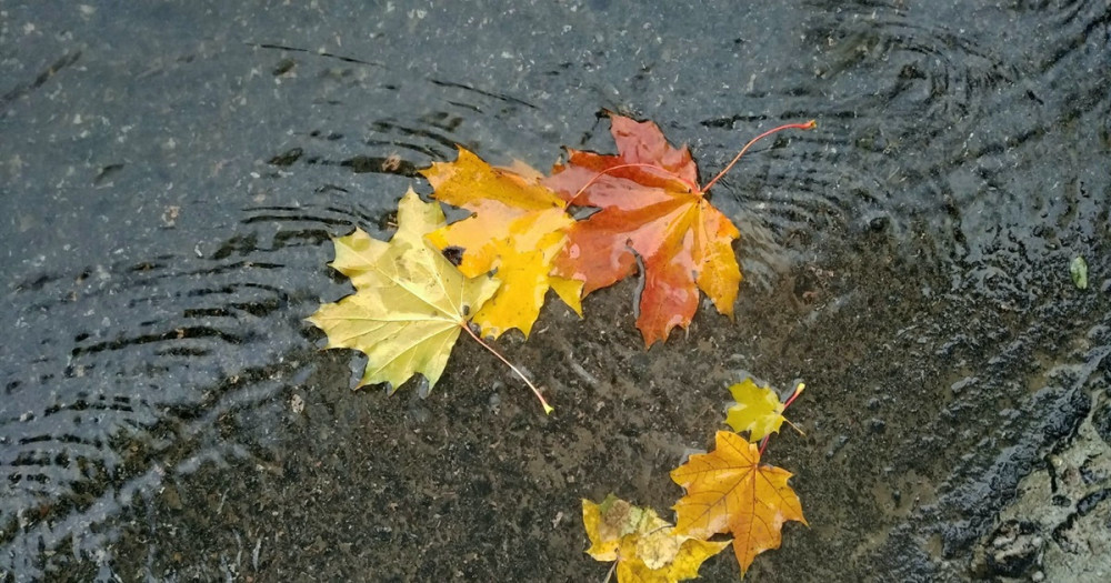 7187 image for slide