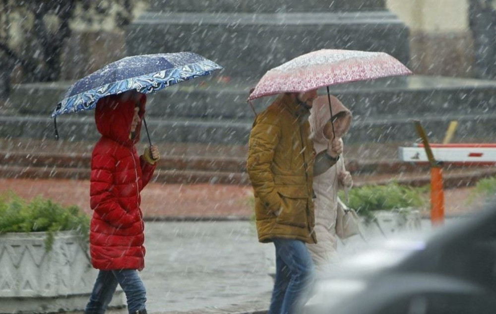 7203 image for slide