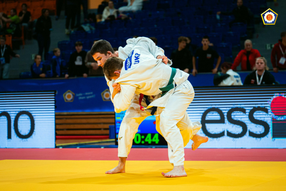 7241 image for slide