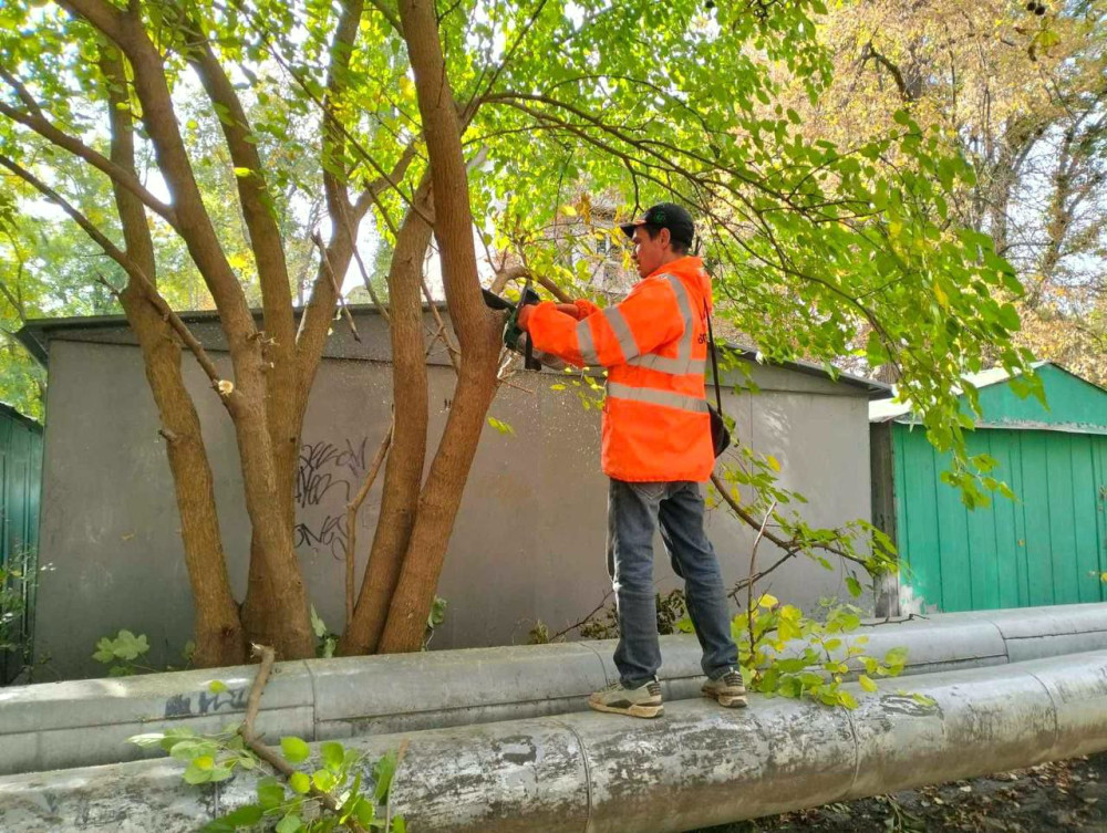 7434 image for slide