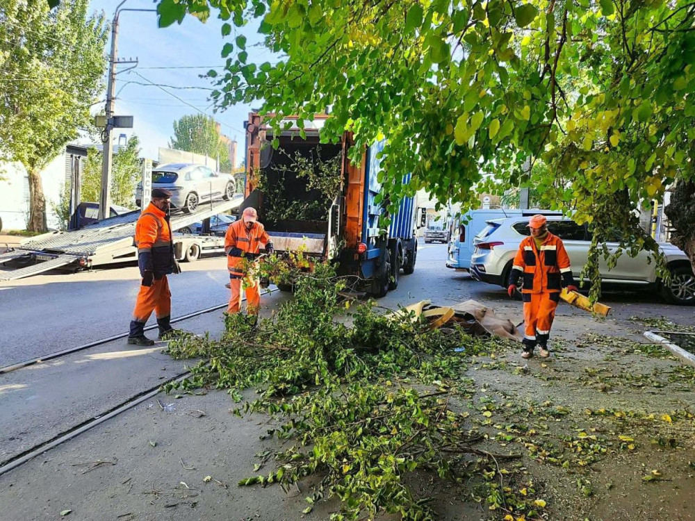 7438 image for slide