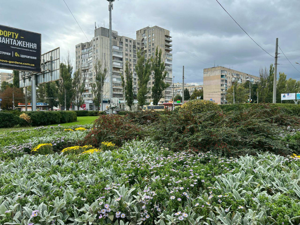 7500 image for slide