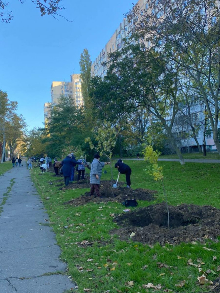 7513 image for slide