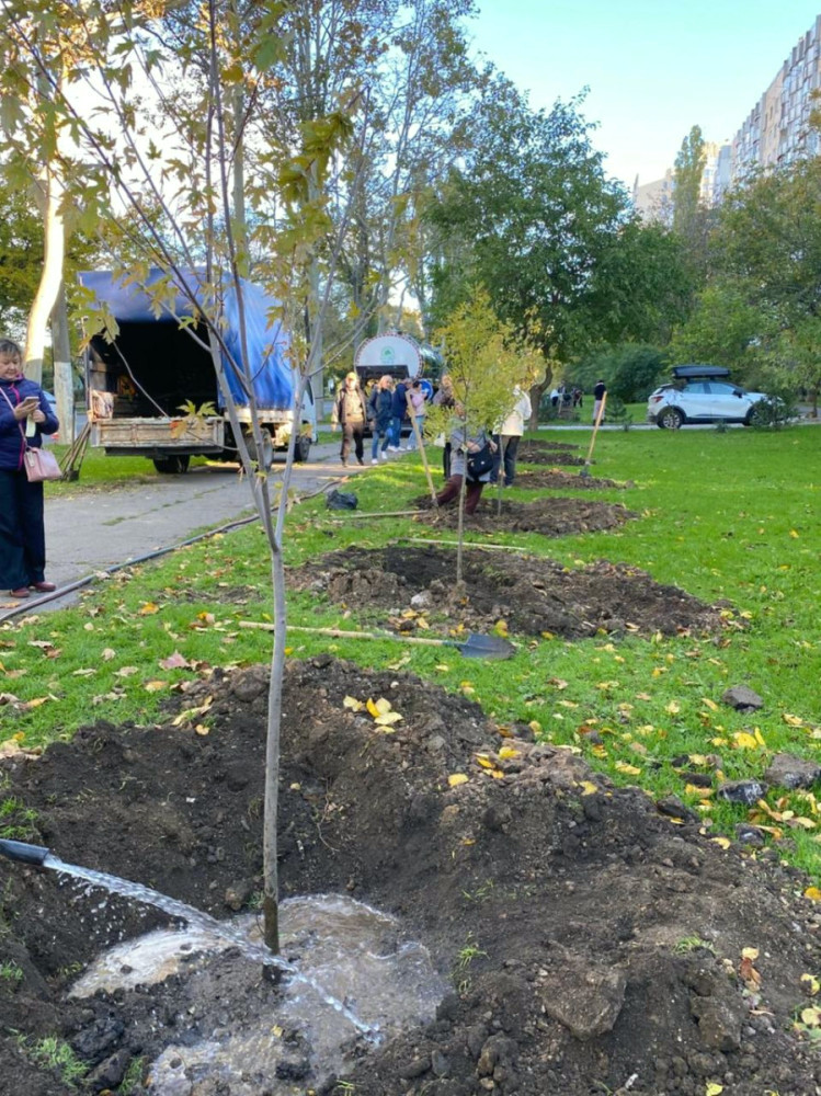 7515 image for slide