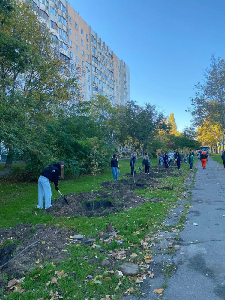 7516 image for slide