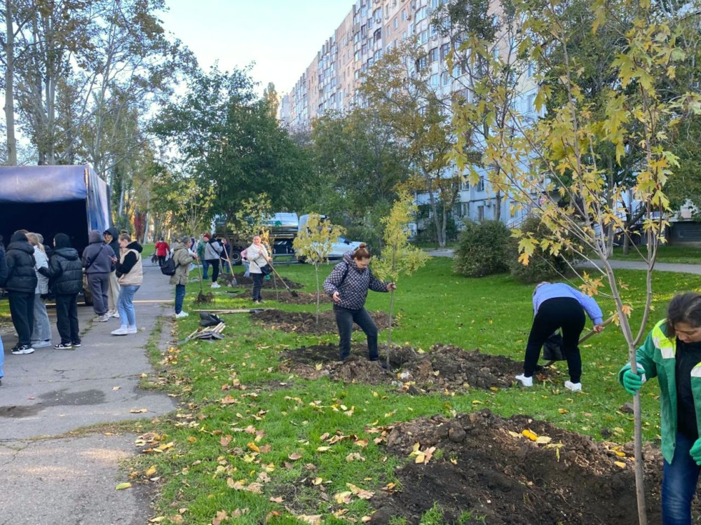 7517 image for slide