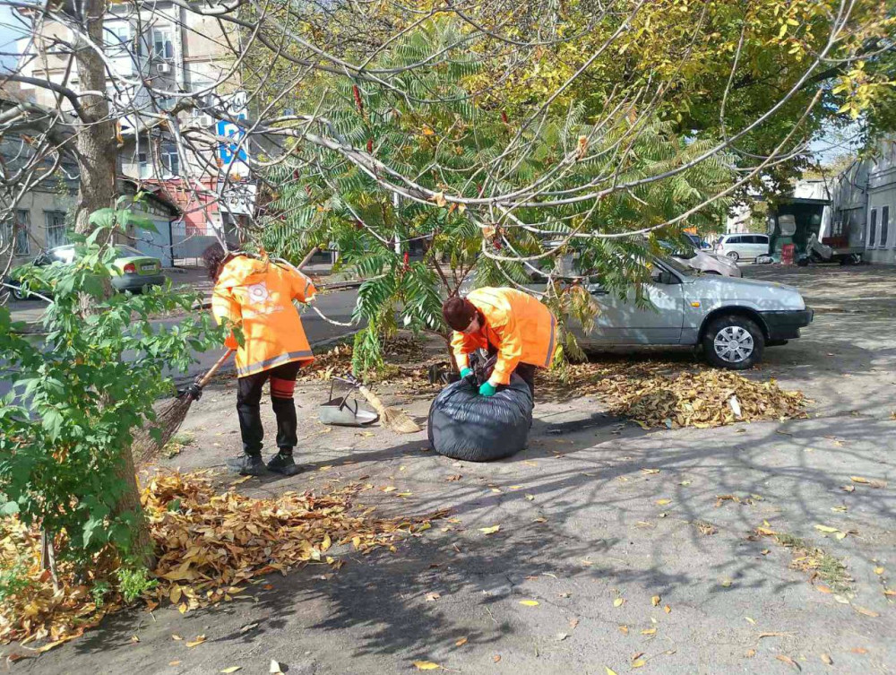 7525 image for slide