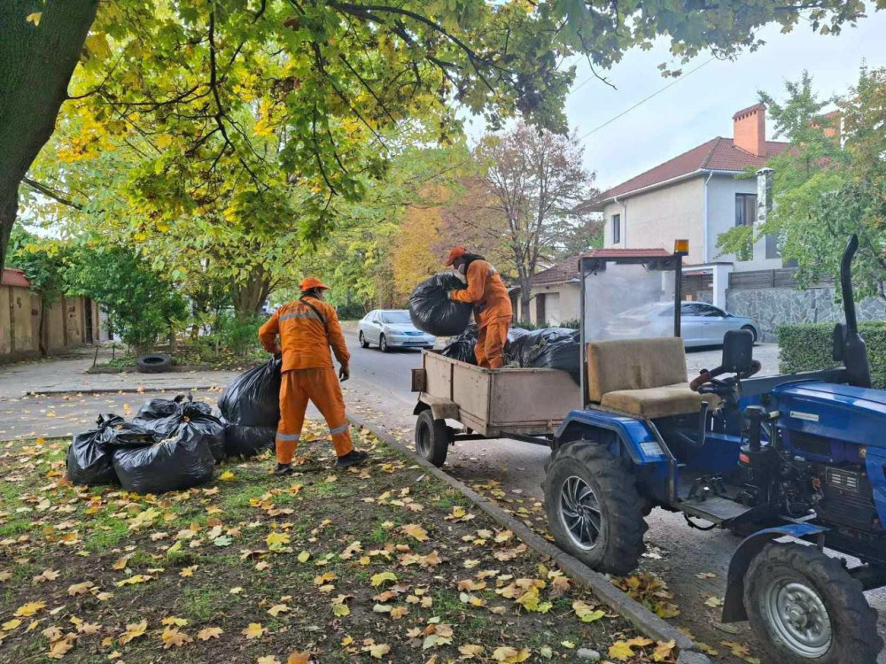 7527 image for slide