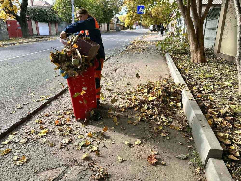 7528 image for slide