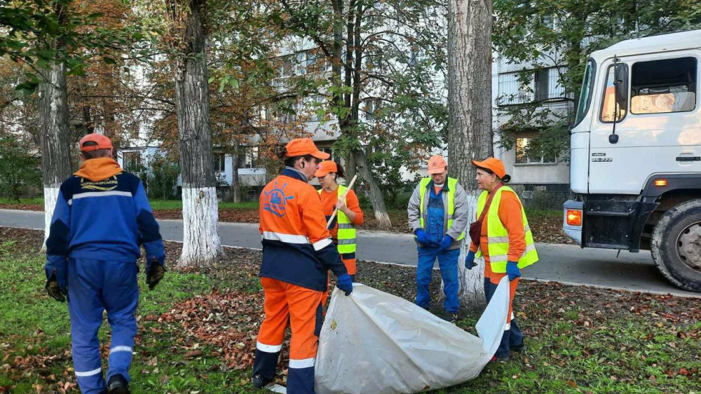 7529 image for slide