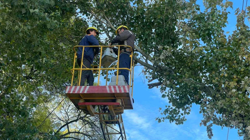 7556 image for slide