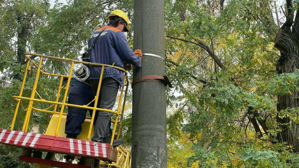 7557 image for slide