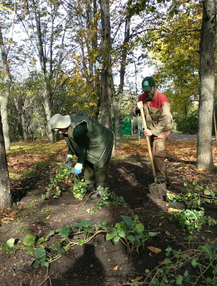 7806 image for slide