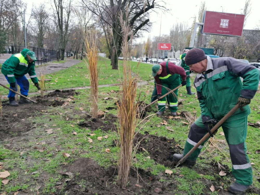 7829 image for slide