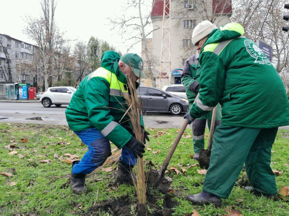 7831 image for slide