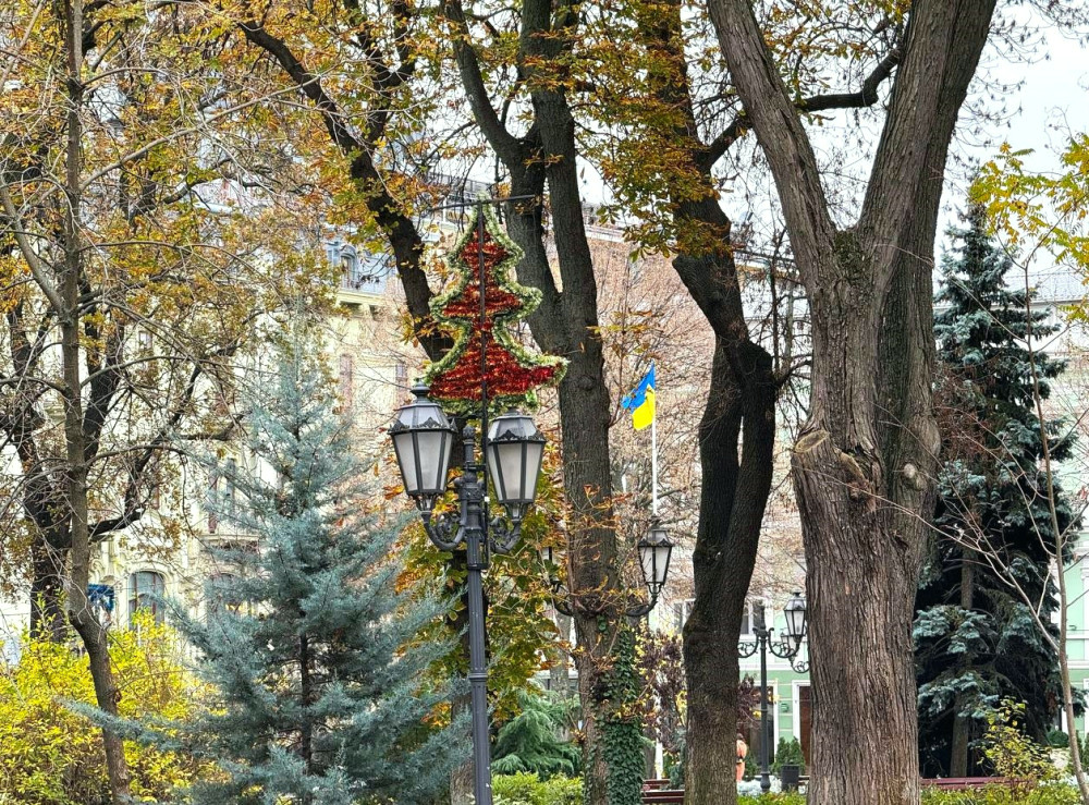 7893 image for slide