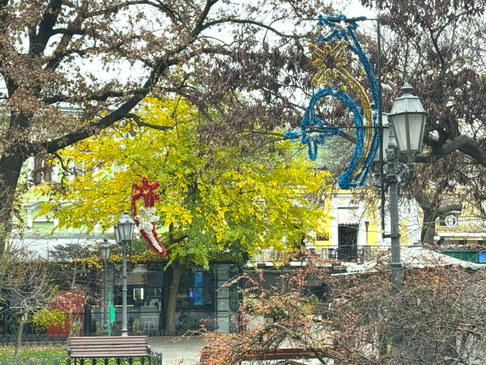 7894 image for slide