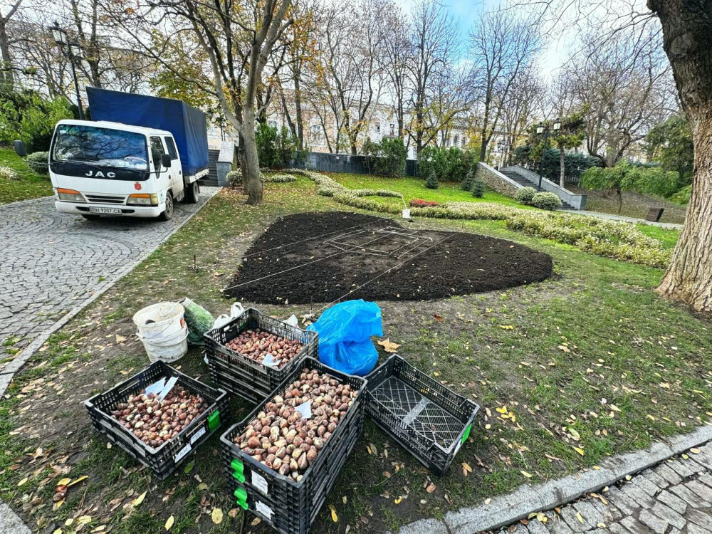 7916 image for slide