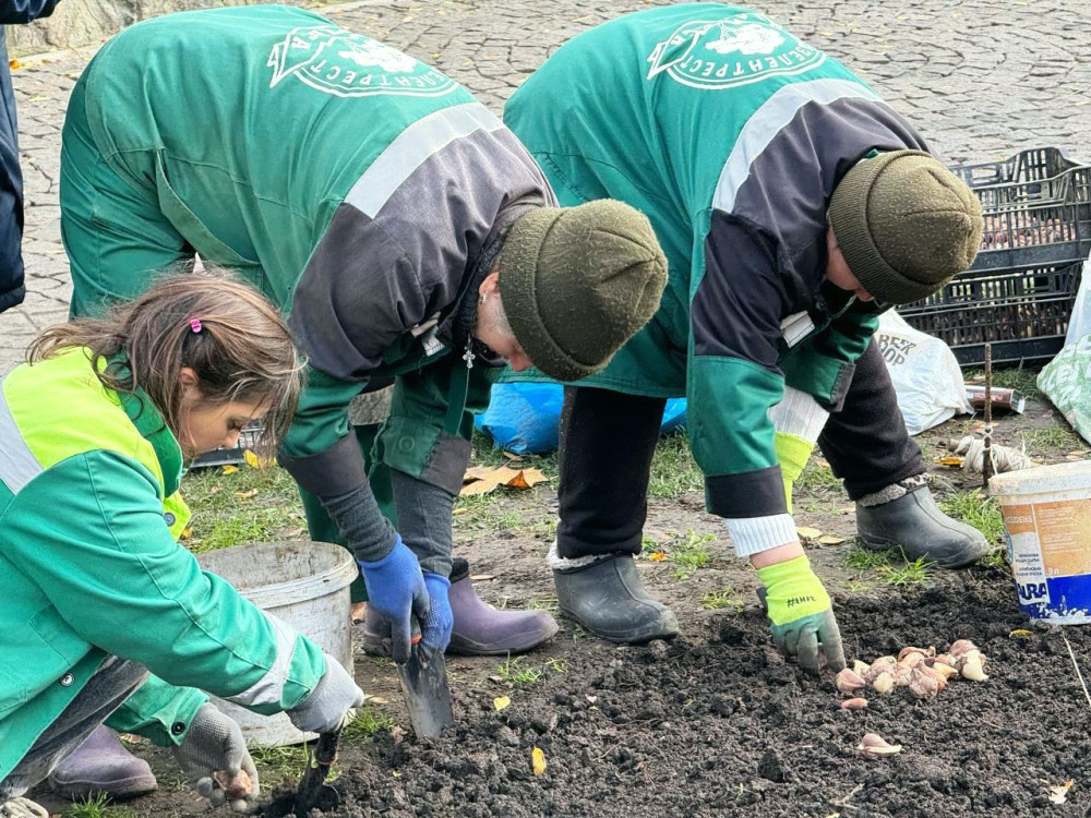 7917 image for slide