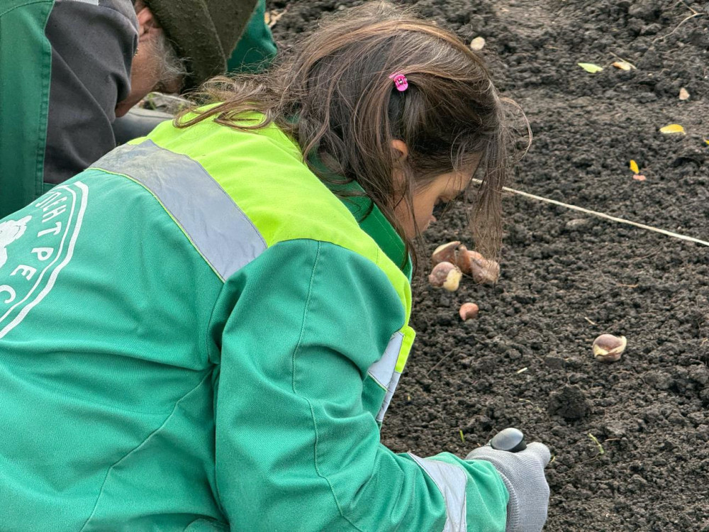 7918 image for slide