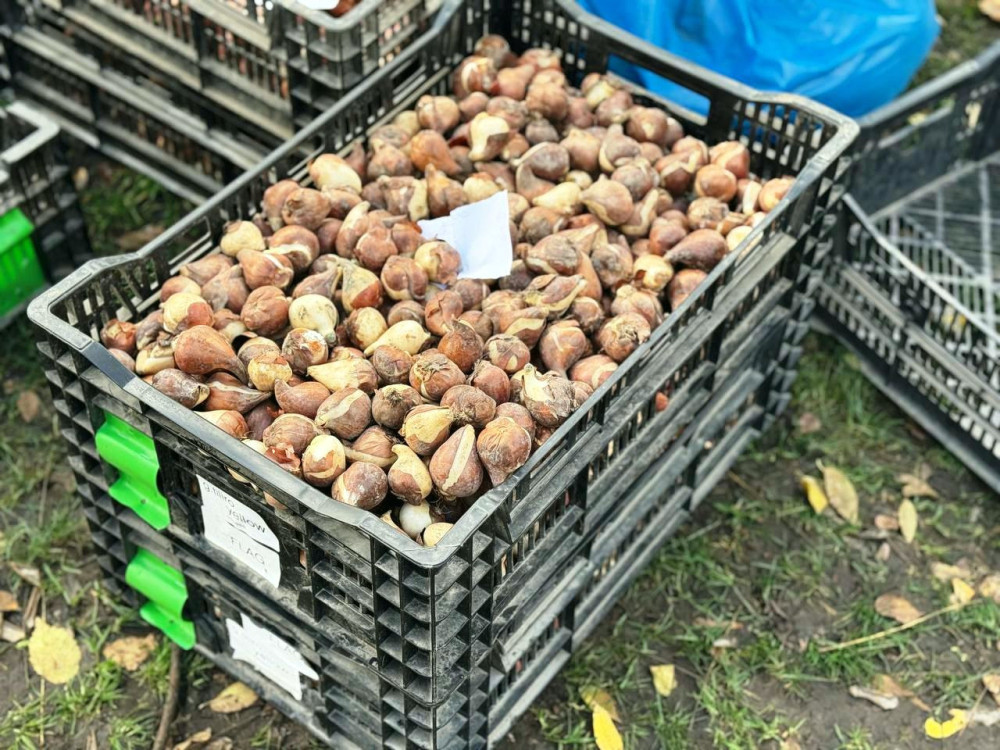 7920 image for slide