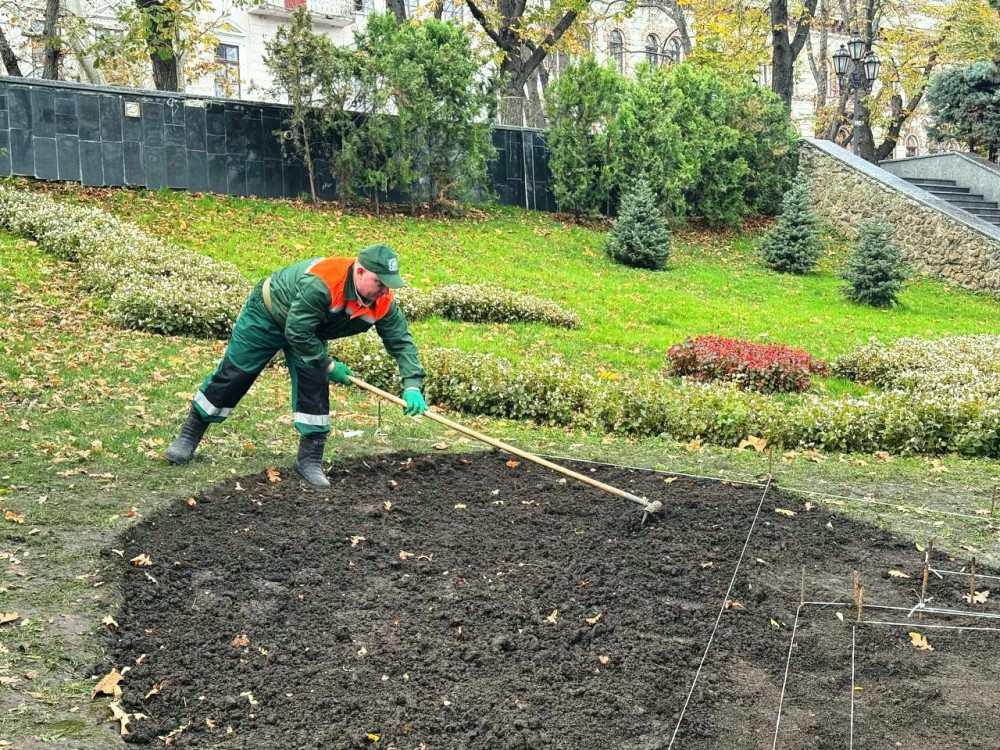 7923 image for slide