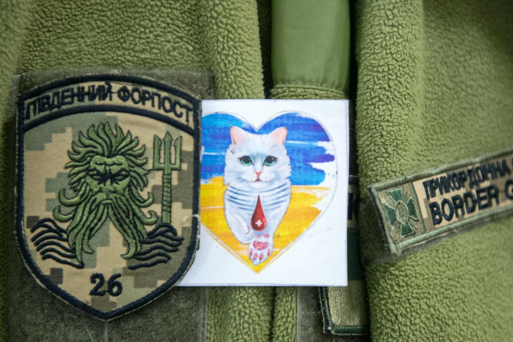 7947 image for slide