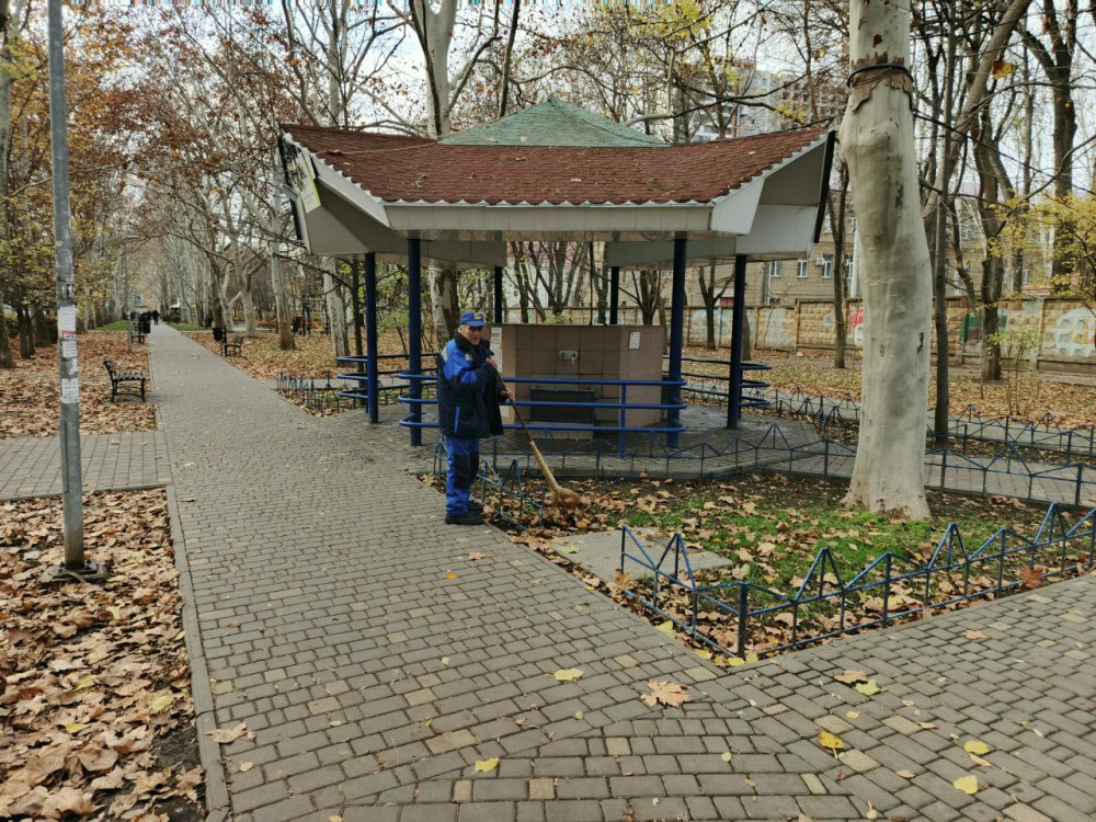 7971 image for slide