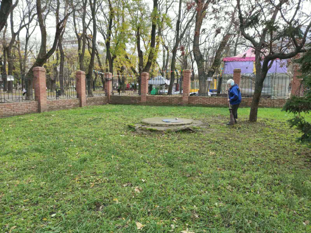 7972 image for slide