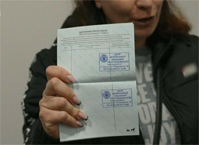 8106 image for slide