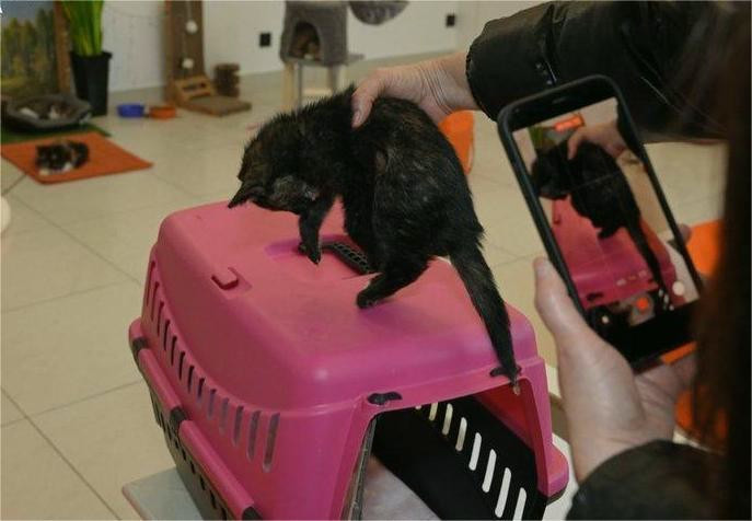 8108 image for slide