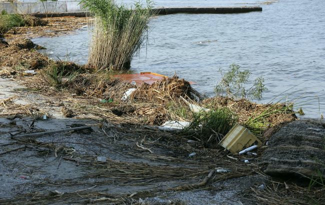 8109 image for slide