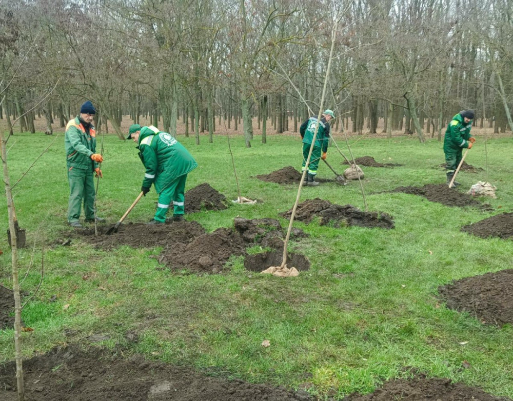 8176 image for slide