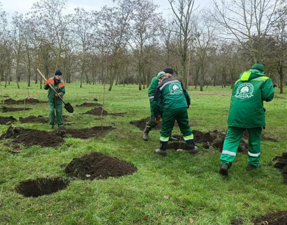 8180 image for slide