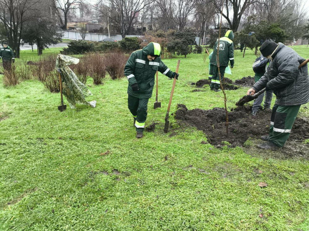 8181 image for slide