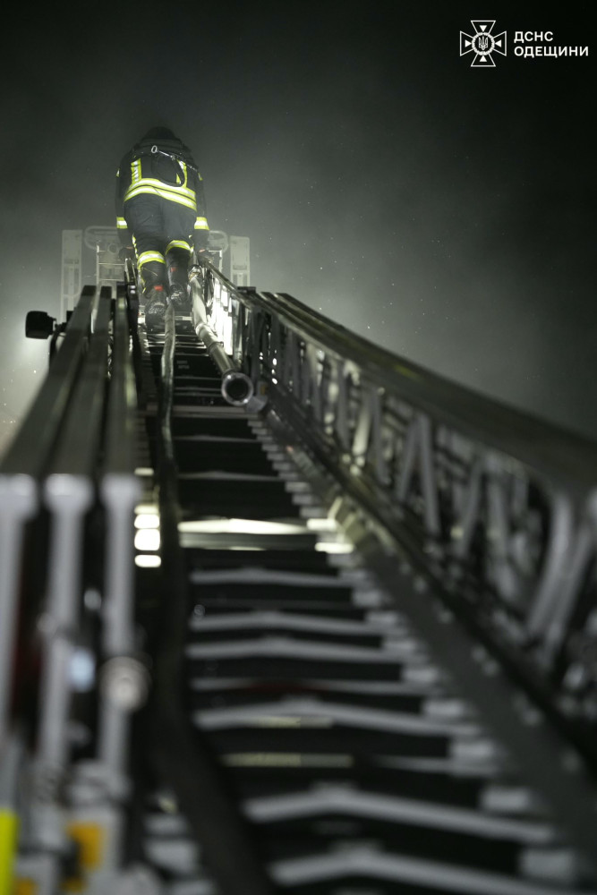 8193 image for slide